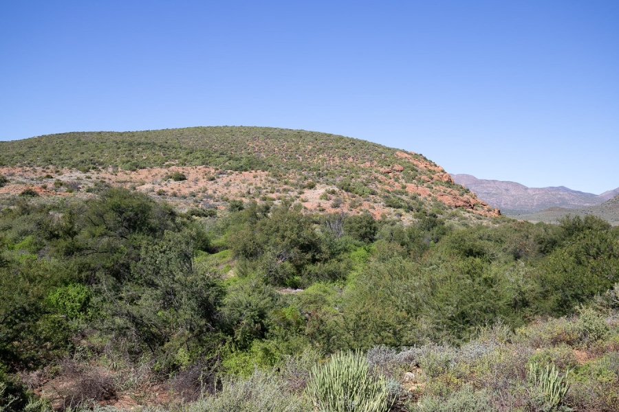  Bedroom Property for Sale in Oudtshoorn Rural Western Cape